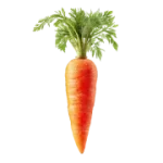 Carrots