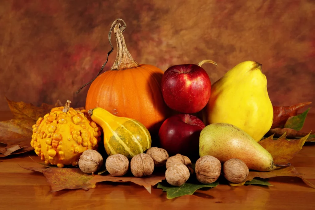 Fall Favorites: Our Seasonal Picks for Cozy Season