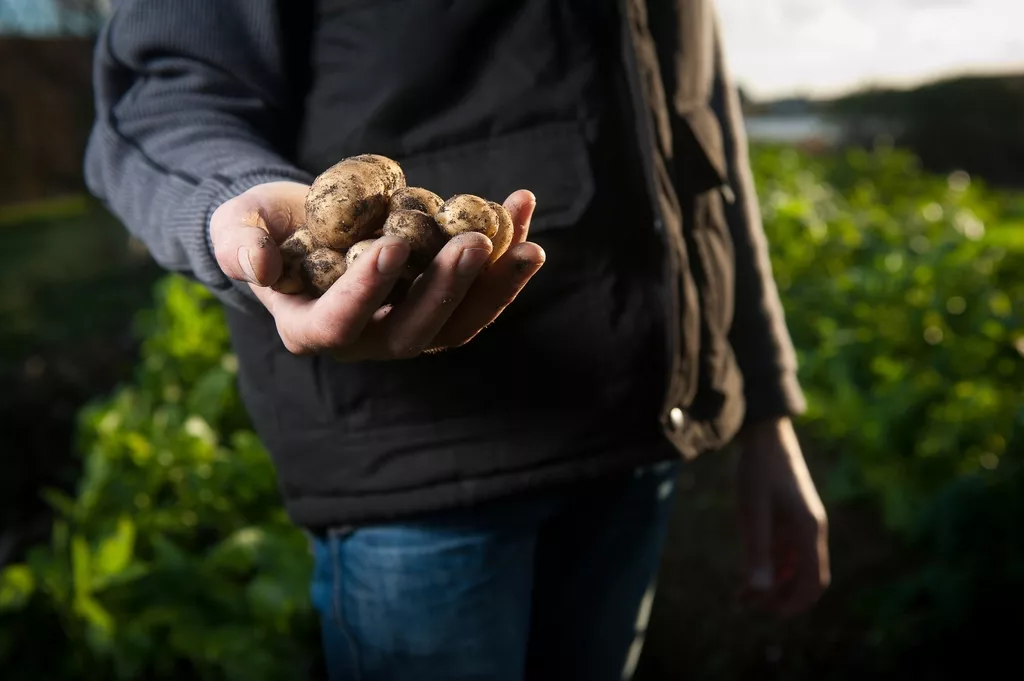 Meet the Growers: The Family Farms Behind Your Box